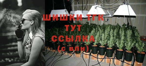 прущий лед Абаза