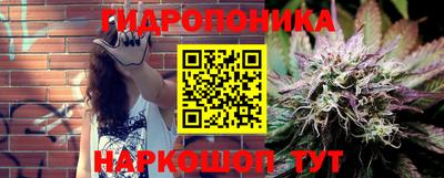 прущие крисы Комсомольск-на-Амуре