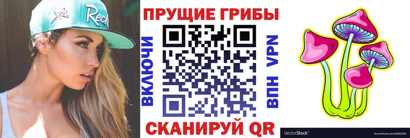 Псилоцибиновые грибы Magic Shrooms  мега ссылки  Клинцы 