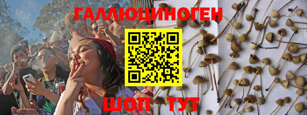 Галлюциногенные грибы ЛСД Клинцы